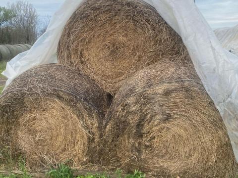 Lucerna , takart lucerna Lucerna , takart lucerna