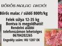 Bőrös félsertés
