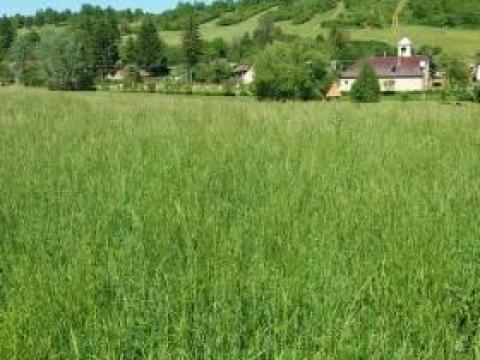 Száraz Hatos vetőmagkeverék Száraz Hatos vetőmagkeverék