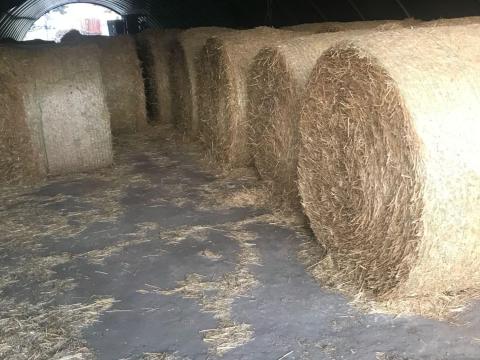 Szalna 150 körbála !