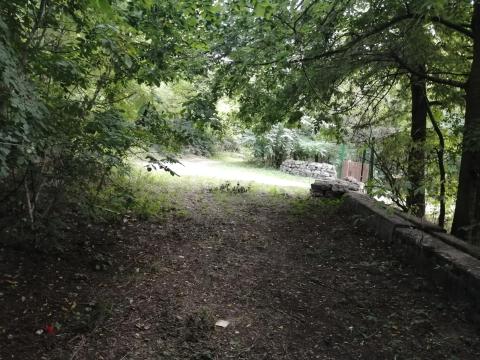 Frekventált fekvésű tanya eladó Pest vármegyében Frekventált fekvésű tanya eladó Pest vármegyében