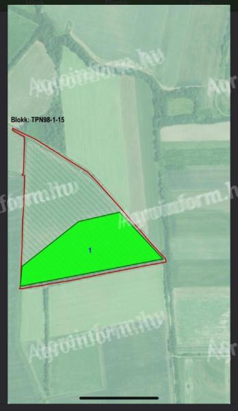 Eladó 7,5 ha szántó Fehérgyarmaton