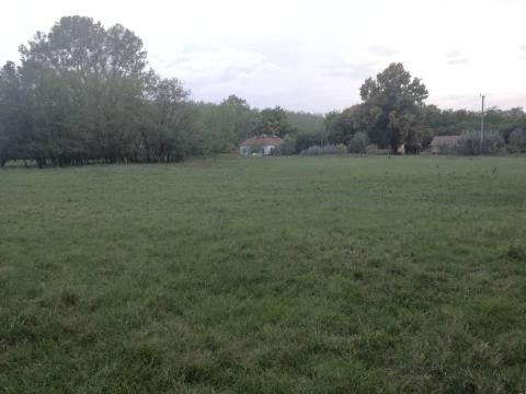 Gyep eladó Gyep eladó