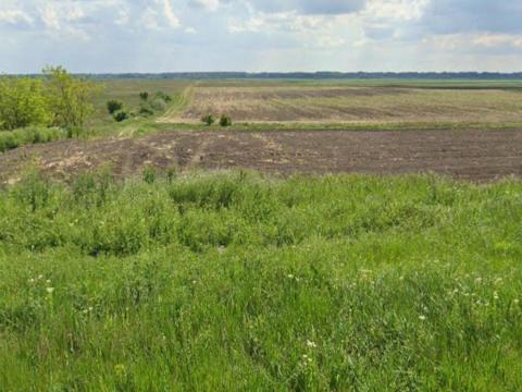 32 hektáros nagybirtok főút mellett: 4 ha szántó + 28 ha legelő + építési telek