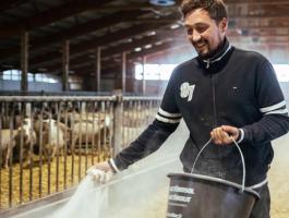 Bacteriolit koncentrátum trágyakezelő és komposztálást gyorsító szer