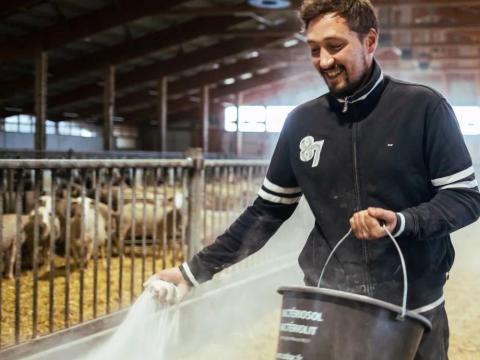 Bacteriolit koncentrátum trágyakezelő és komposztálást gyorsító szer