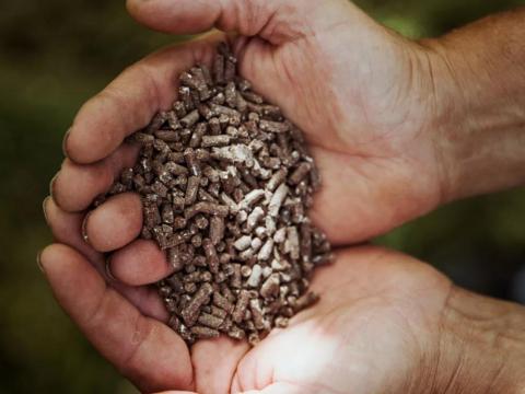 Bacteriosol koncentrátum talajjavító szer ökológiai gazdaságoknak Bacteriosol koncentrátum talajjavító szer ökológiai gazdaságoknak