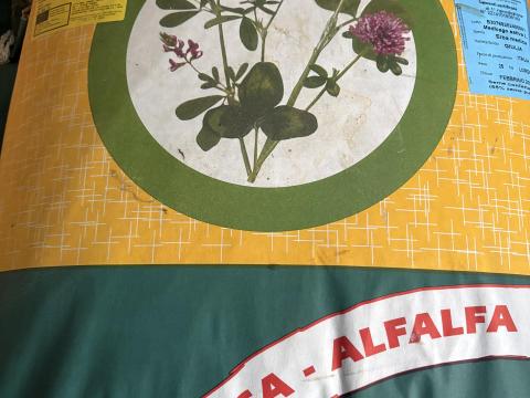 Lucerna vetőmag - GIULIA Lucerna vetőmag - GIULIA