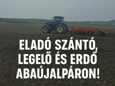 Közvetlenül a gazdától tehermentesen eladó Közvetlenül a gazdától tehermentesen eladó