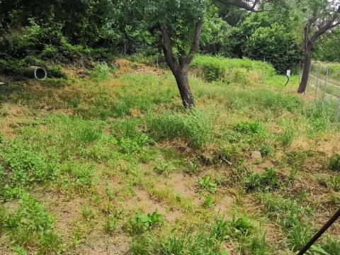 Lesenceistvándon telek eladó