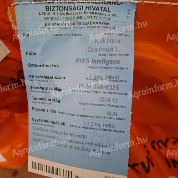 KWS Inteligens kukorica vetőmag