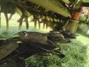 Kuhn 280cmes disces fűkasza