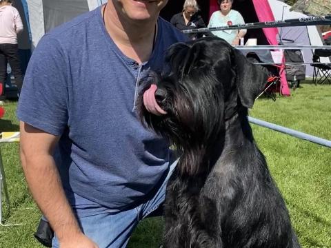 Fekete óriás schnauzer kölyök Fekete óriás schnauzer kölyök