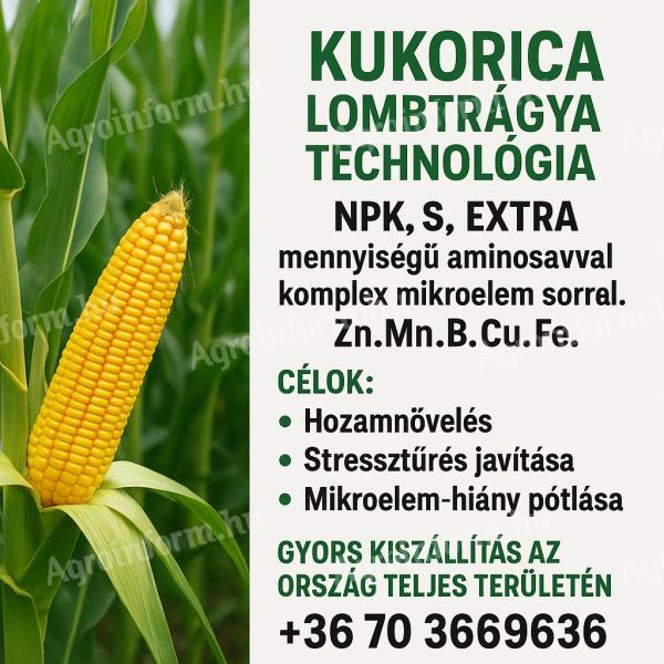 Kukorica lombtrágya technológia