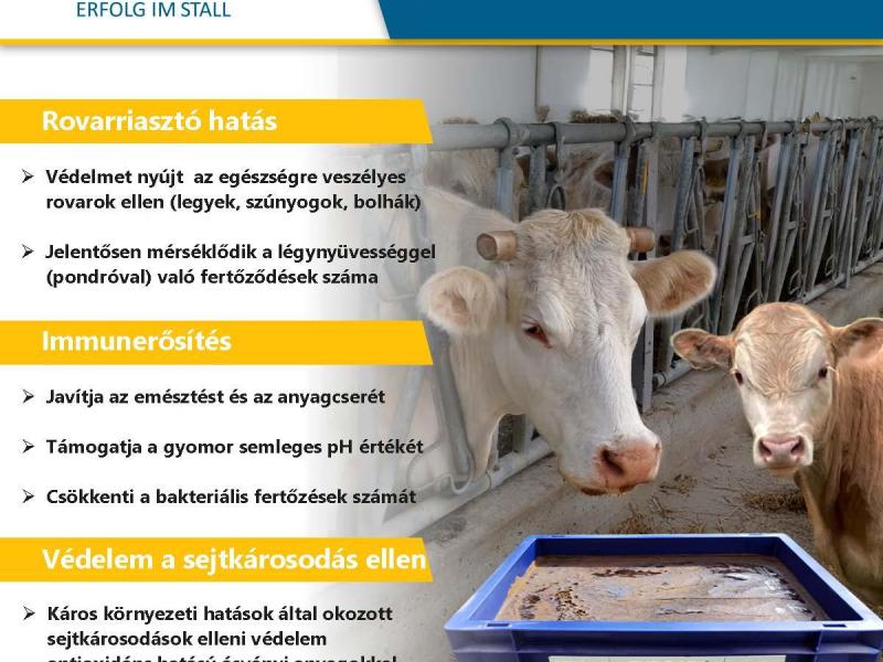 Euro Lix Ultra Beef - Nyalótál rovarriasztó hatással 24 kg