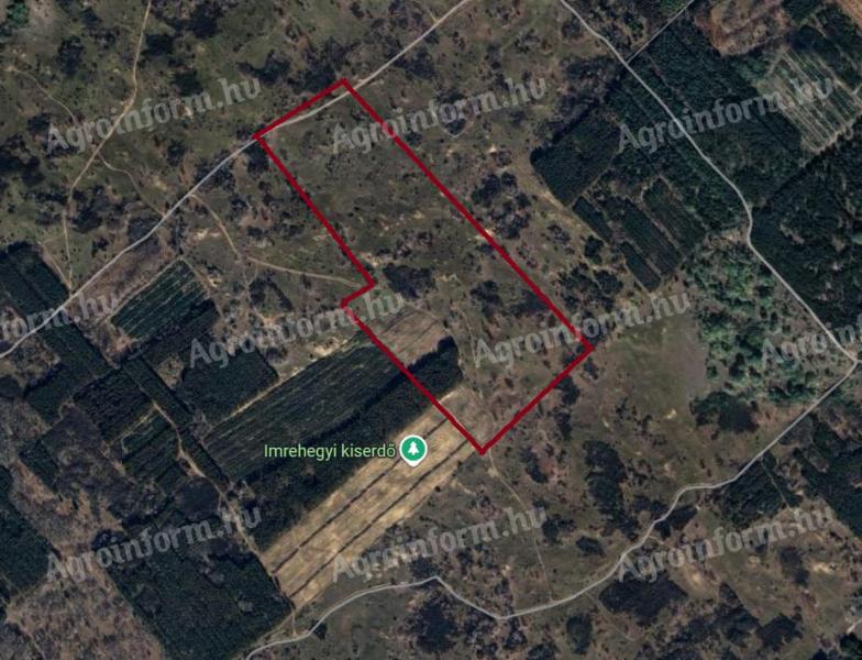 Imrehegyen 34 ha Natura 2000-es legelő eladó