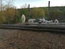 Kuvasz kiskutya