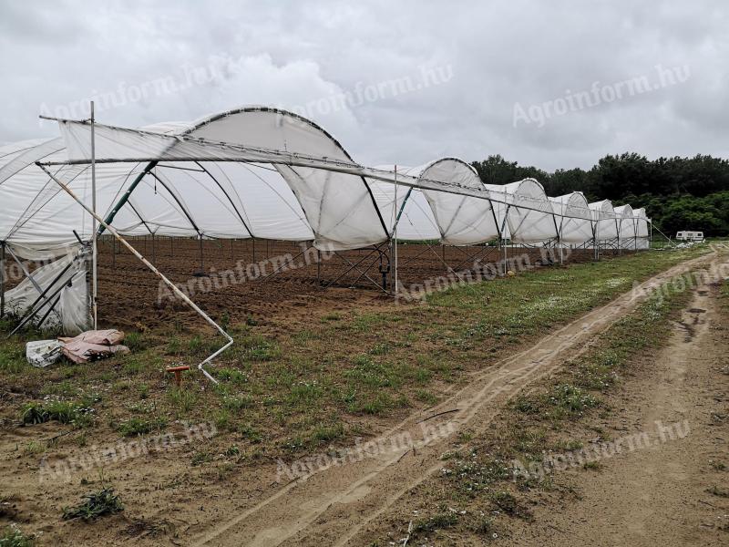 3600 m² Vándorfólia (Haygrove jellegű)