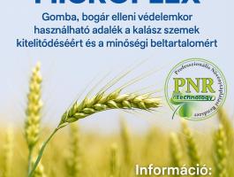 Gomba bogár elleni védelemkor használható adalék a szemek kitelítődéséért és a minőségi