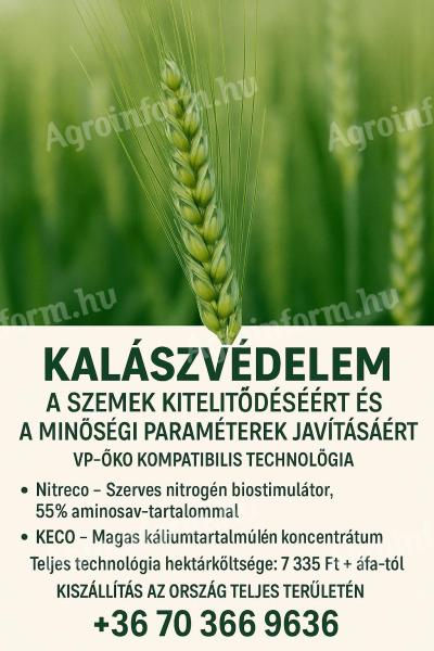 Kalászvédelem a szemek kiteljesedéséért és a minőségi paraméterek javításáért – VP-ÖKO komp