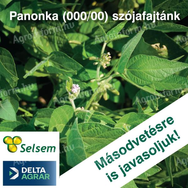 SELSEM PANONKA (000/00 Éréscsoport) Szója Vetőmag 90% Csíra 5 Ha Csomag