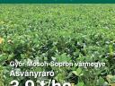 Pelikan (00/0) Korai/Közép Érésű Szója Vetőmag 5Ha Vetőmag