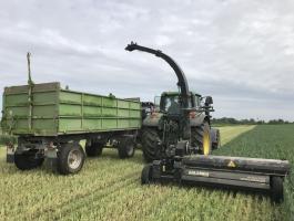 Készletről új Celikel Calabria 2,1 m silózó,  rendet is fel tud szedni,  akár 28 tonna/óra