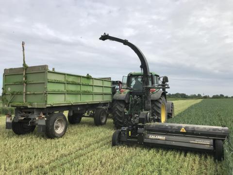 Készletről új Celikel Calabria 2,1 m silózó,  rendet is fel tud szedni,  akár 28 tonna/óra Készletről új Celikel Calabria 2,1 m silózó,  rendet is fel tud szedni,  akár 28 tonna/óra