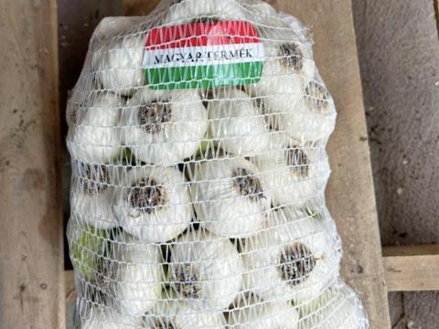 Új zöld vágott fokhagyma Új zöld vágott fokhagyma