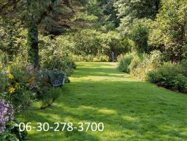 Kertgondozás,  fűkaszálás,  fakivágás és egyéb kerti munka Budaörs,  Érd,  Diósd és környékén