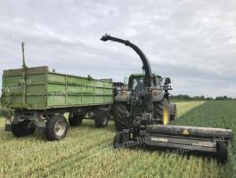 Készletről új Celikel Calabria 2,1 m silózó,  rendet is fel tud szedni,  akár 28 tonna/óra