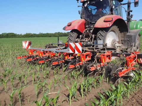 Quivogne MAXIPLANT M6-H (6 soros) sorközművelő kultivátor