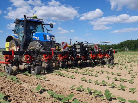 Quivogne MAXIPLANT M8-H (8 soros) sorközművelő kultivátor