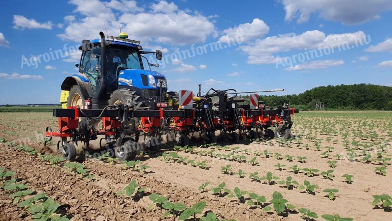 Quivogne MAXIPLANT M8-H (8 soros) sorközművelő kultivátor