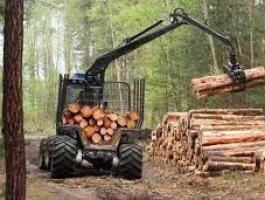 Fakitermelő képzés – Államilag elismert tanfolyam motorfűrésszel dolgozóknak