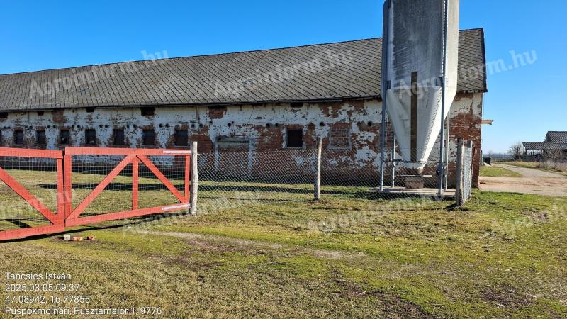 Eladó pulyka istálló