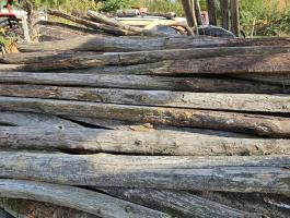 Akácfa oszlopok eladóak karámfának és kerítés építéséhez