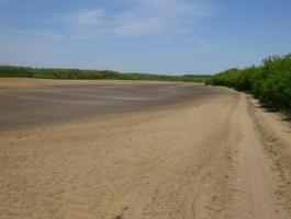 Erdőtelepítésre alkalmas rossz minőségű szántót,  legelőt,  kaszálót vásárolnék