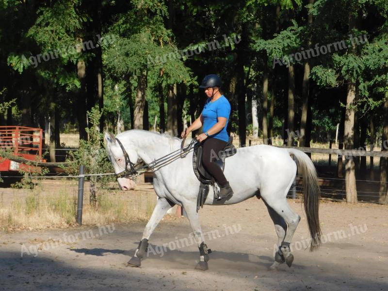 Lengyel sportló herélt