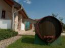 Tokaj Hegyalja eladó borászat
