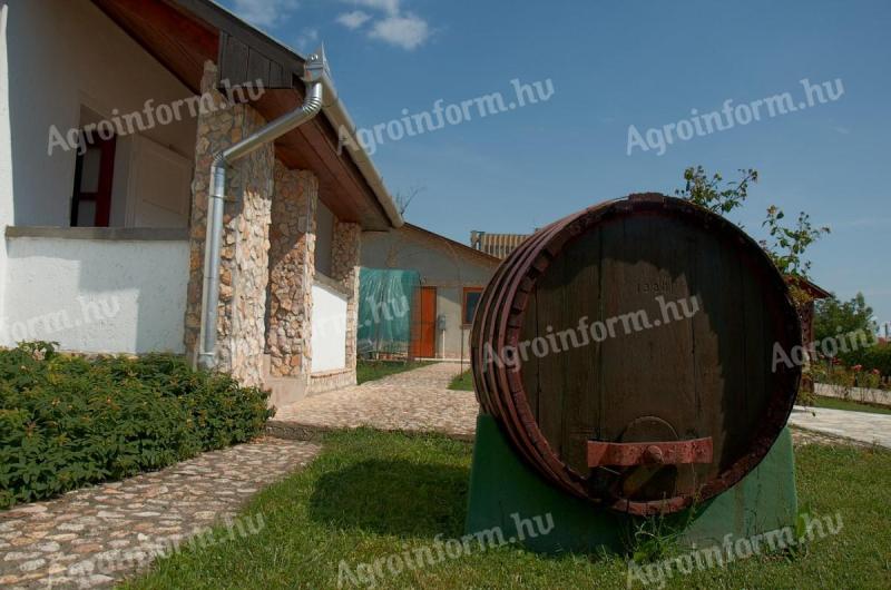 Tokaj Hegyalja eladó borászat