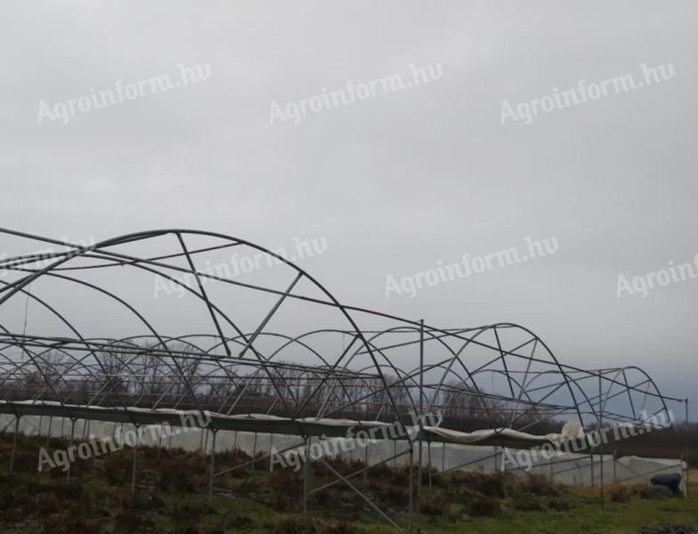 Eladó 18 hajó HYGROVE vándorfólia