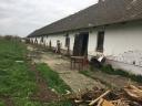 Eladó mezőgazdasági célú ingatlan Túrkevén