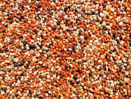 Horgászmagkeverék 7 magos eladó,  akár postai szállítással is