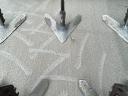 Framest reptill 4000