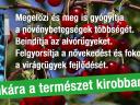 Amazon mikrobiológiai készítmény 1 kg,  5 kg