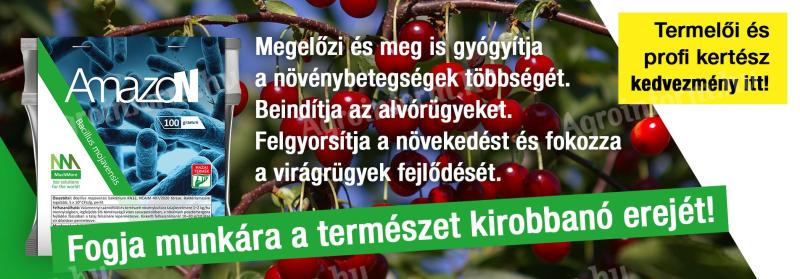 Amazon mikrobiológiai készítmény 1 kg,  5 kg