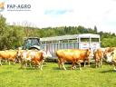Fliegl TTW 100 állatszállító pótkocsi