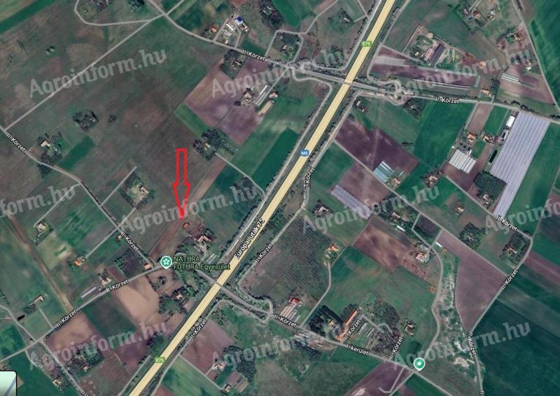 Röszke II. körzetében eladó vagy bérelhető 1,5 ha szántó