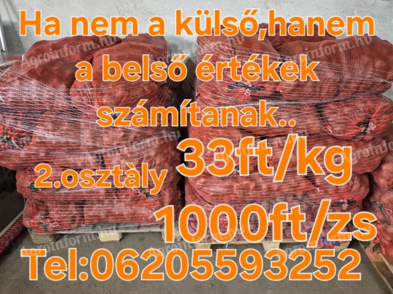 Burgonya